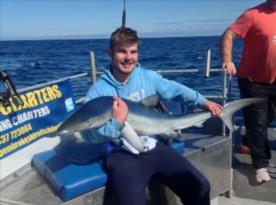 65 lb Blue Shark by Mathew