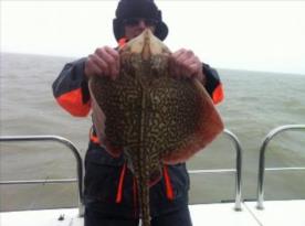 11 lb 10 oz Thornback Ray by This is Paul from Essex