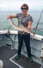 8 lb 8 oz Smooth-hound by Jane