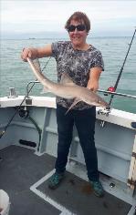 8 lb 8 oz Smooth-hound (Common) by Jane