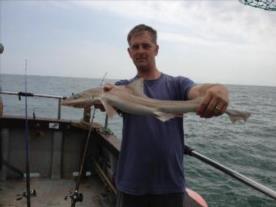 5 lb Smooth-hound (Common) by Paul Danny