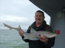 2 oz Smooth-hound by jon