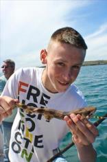 4 oz Bull Huss by Marky