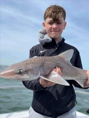 6 lb Smooth-hound (Common) by Archie
