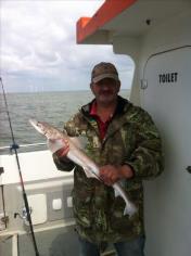 4 lb 8 oz Smooth-hound (Common) by Steve