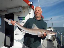 2 oz Smooth-hound by Unknown