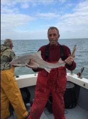 11 lb Starry Smooth-hound by steven macleod