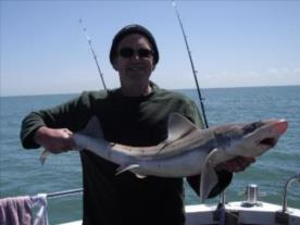 14 lb Starry Smooth-hound by andy