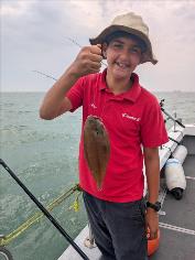 1 lb Dover Sole by Mouse