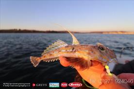 5 oz Dragonet by Pete