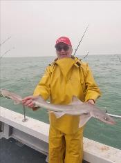 4 lb Smooth-hound by Verne