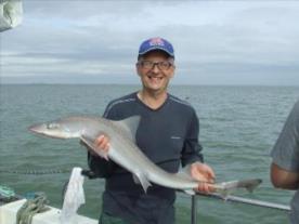 2 oz Smooth-hound by Unknown