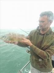 5 oz Ballan Wrasse by Aaron