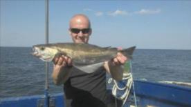 4 lb 3 oz Pollock by Lee Jones