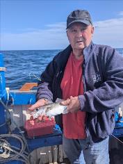 6 oz Haddock by Unknown