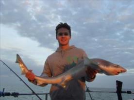 2 oz Smooth-hound by Unknown