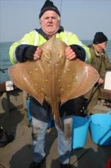 28 lb 14 oz Blonde Ray by Ron Plummer