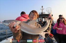 5 lb Starry Smooth-hound by Lisa