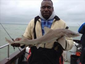 6 lb Starry Smooth-hound by Darren C