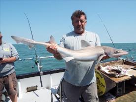 2 oz Smooth-hound by Unknown