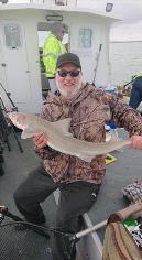 8 lb 11 oz Smooth-hound by Dennis