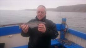 1 lb Coalfish (Coley/Saithe) by Mel Till