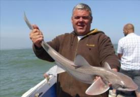10 lb Smooth-hound (Common) by Dan Wilson