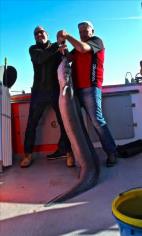 86 lb Conger Eel by paul