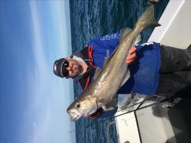 16 lb Pollock by Clive
