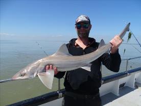 2 oz Smooth-hound by Unknown