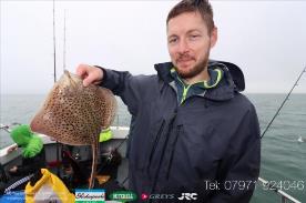 3 lb Spotted Ray by Matt