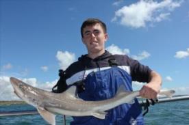 5 lb Starry Smooth-hound by Pete