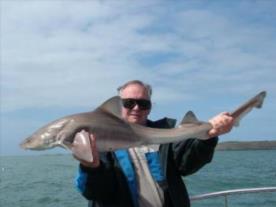 15 lb Starry Smooth-hound by Brian