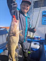 5 lb 6 oz Cod by Unknown