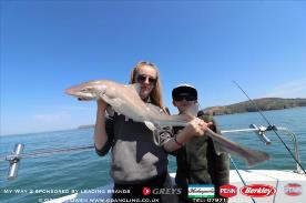 6 lb Starry Smooth-hound by Ebony & Lee