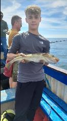 4 lb Cod by Unknown