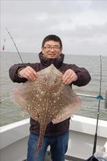 12 lb 10 oz Thornback Ray by Unknown