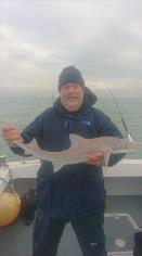 6 lb 5 oz Smooth-hound by Mark