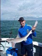 14 lb 8 oz Starry Smooth-hound by Unknown