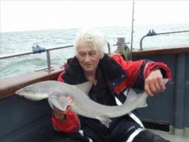 2 oz Starry Smooth-hound by Unknown
