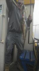 1 lb Bib (Pouting) by Unknown