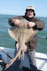 13 lb Undulate Ray by Unknown