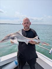 9 lb Starry Smooth-hound by Steve