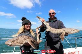 8 lb Bull Huss by Donna & Keith