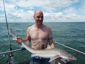 2 oz Smooth-hound by Unknown
