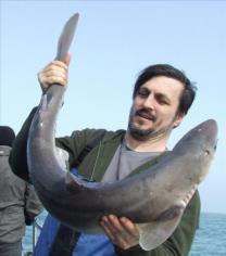 14 lb 6 oz Spurdog by nick