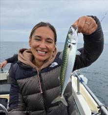 1 lb Mackerel by Carly