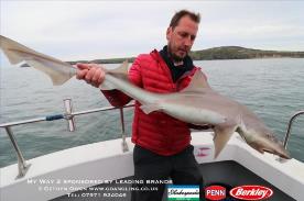 20 lb Starry Smooth-hound by Mark