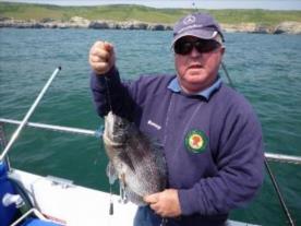 4 lb 4 oz Black Sea Bream by Barney Campbell