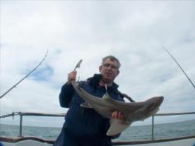 14 lb Starry Smooth-hound by Ian Tomo